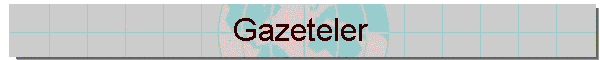 Gazeteler