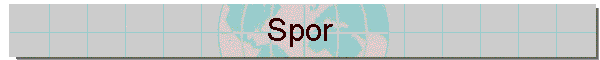Spor