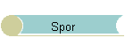 Spor