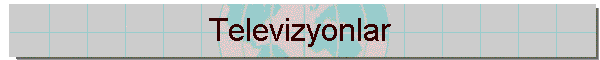 Televizyonlar